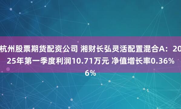 杭州股票期货配资公司 湘财长弘灵活配置混合A：2025年第一季度利润10.71万元 净值增长率0.36%