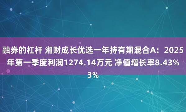融券的杠杆 湘财成长优选一年持有期混合A：2025年第一季度利润1274.14万元 净值增长率8.43%