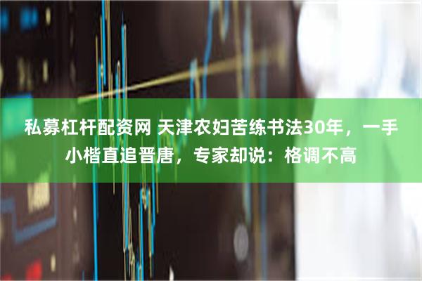私募杠杆配资网 天津农妇苦练书法30年，一手小楷直追晋唐，专家却说：格调不高