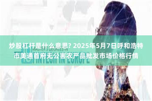 炒股杠杆是什么意思? 2025年5月7日呼和浩特市美通首府无公害农产品批发市场价格行情