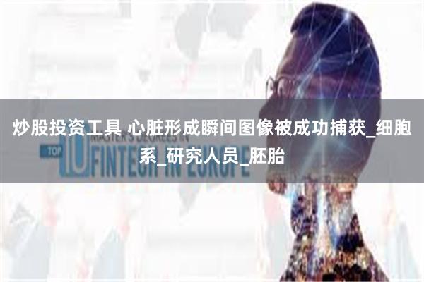 炒股投资工具 心脏形成瞬间图像被成功捕获_细胞系_研究人员_胚胎