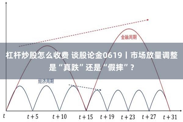 杠杆炒股怎么收费 谈股论金0619丨市场放量调整是“真跌”还是“假摔”？
